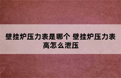 壁挂炉压力表是哪个 壁挂炉压力表高怎么泄压